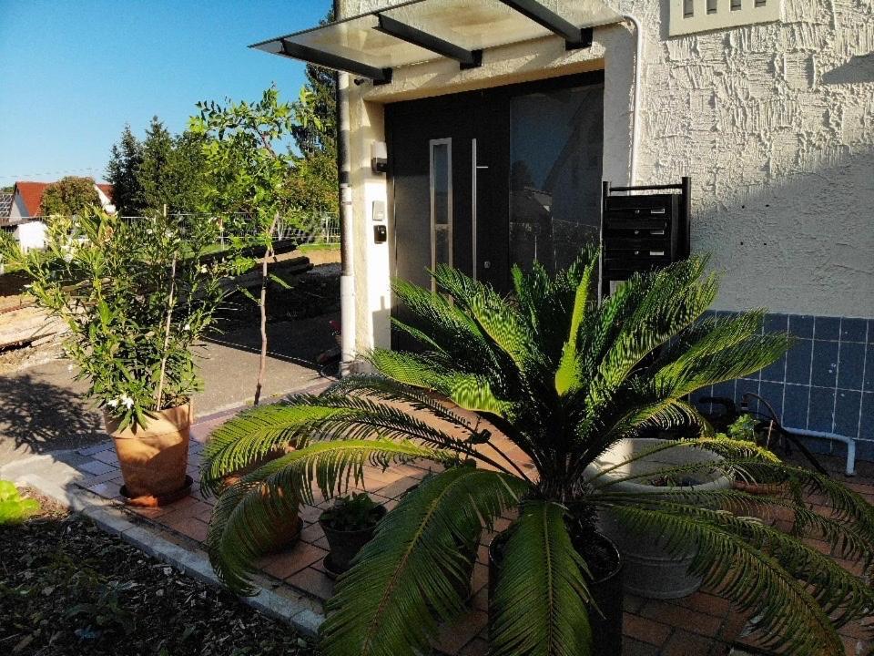 Gemuetliche 3 Zimmer Wohnung Mit Grosszuegiger Terrasse Im Gruenen Reutlingen Esterno foto